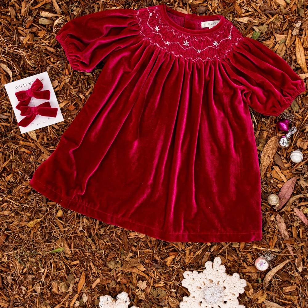 NWT Wild Wawa Burgundy Velvet Dress with Embroidered Details
